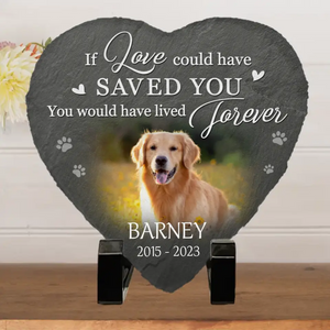 Custom Photo You Would Have Lived Forever AMZ - Memorial Personalized Custom Memorial Stone - New Arrival, Sympathy Gift, Gift For Pet Owners, Pet Lovers