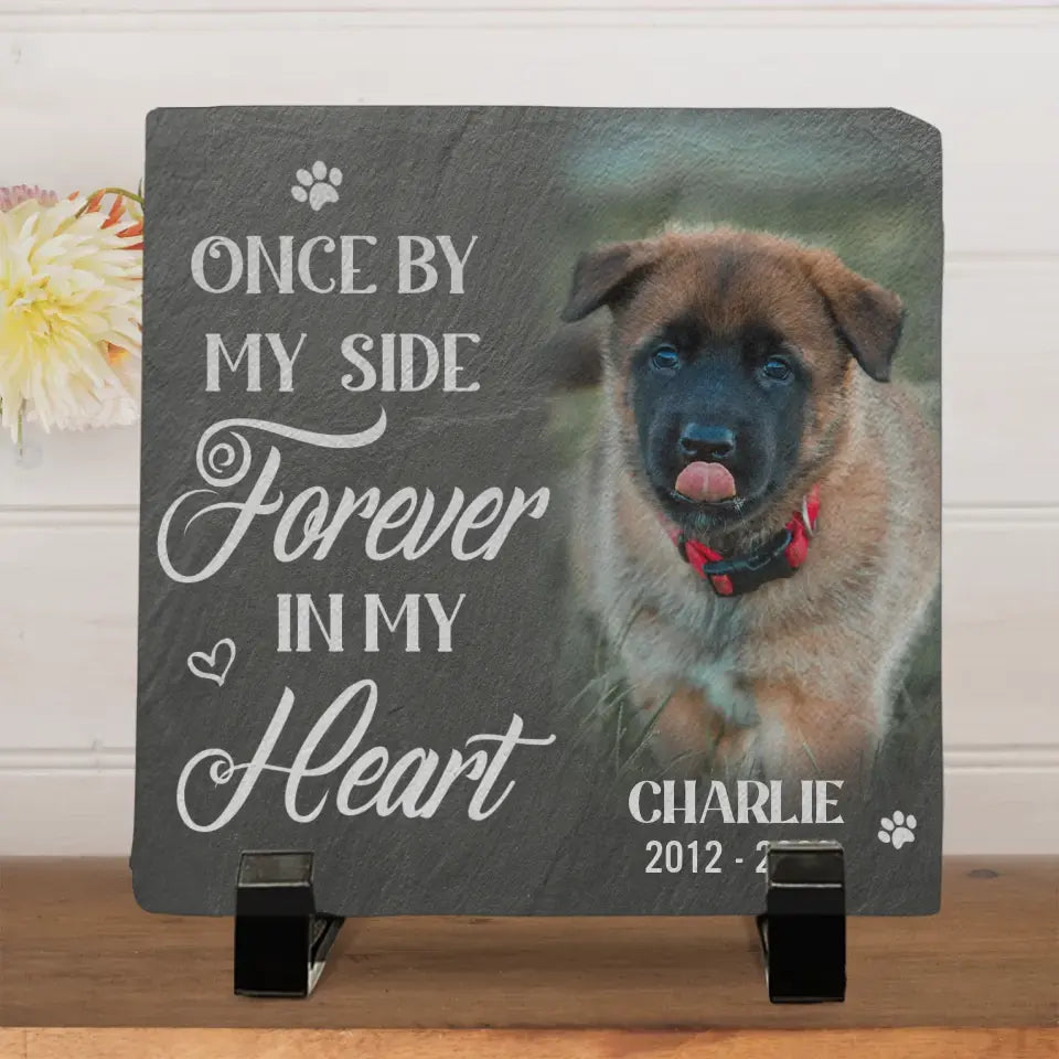 Custom Photo We'll Miss You For The Rest Of Ours - Memorial Personalized Custom Memorial Stone - New Arrival, Sympathy Gift For Pet Owners, Pet Lovers - AMZ