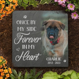 Custom Photo We'll Miss You For The Rest Of Ours - Memorial Personalized Custom Memorial Stone - New Arrival, Sympathy Gift For Pet Owners, Pet Lovers - AMZ