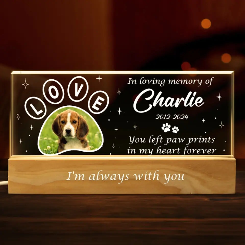 Custom Photo Your Light Will Always Shine In My Heart - Memorial Personalized Custom Acrylic Letters 3D LED Night Light - Sympathy Gift For Pet Owners, Pet Lovers