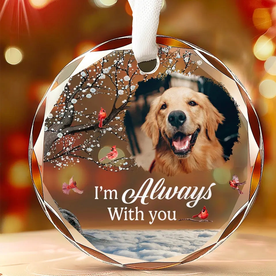 Custom Photo A Companion Is Gone, But The Memory Lives On - Memorial Personalized Custom Circle Glass Ornament - Sympathy Gift For Pet Owners, Pet Lovers