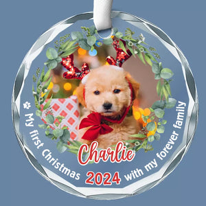 Custom Photo Celebrate Christmas With Furry Friends - Dog & Cat Personalized Custom Circle Glass Ornament - Christmas Gift For Pet Owners, Pet Lovers, First Christmas