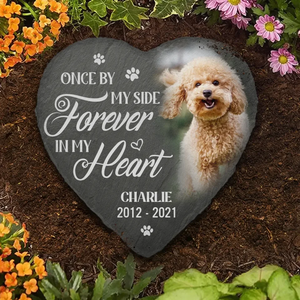 Custom Photo You Would Have Lived Forever - Memorial Personalized Custom Memorial Stone - New Arrival, Sympathy Gift, Gift For Pet Owners, Pet Lovers AMZ