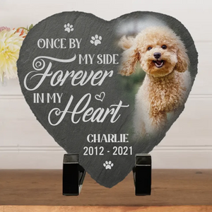 Custom Photo You Would Have Lived Forever - Memorial Personalized Custom Memorial Stone - New Arrival, Sympathy Gift, Gift For Pet Owners, Pet Lovers AMZ